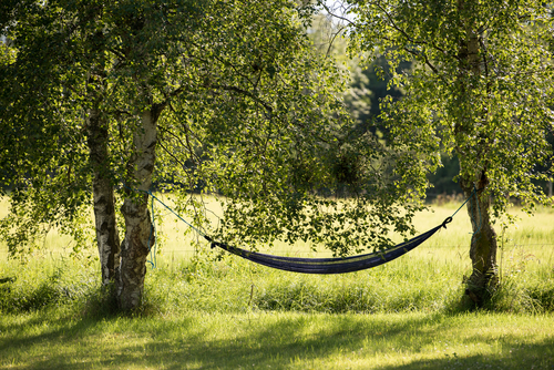 Semesterersättning – Så mycket pengar får du när du slutar (Kalkylator)