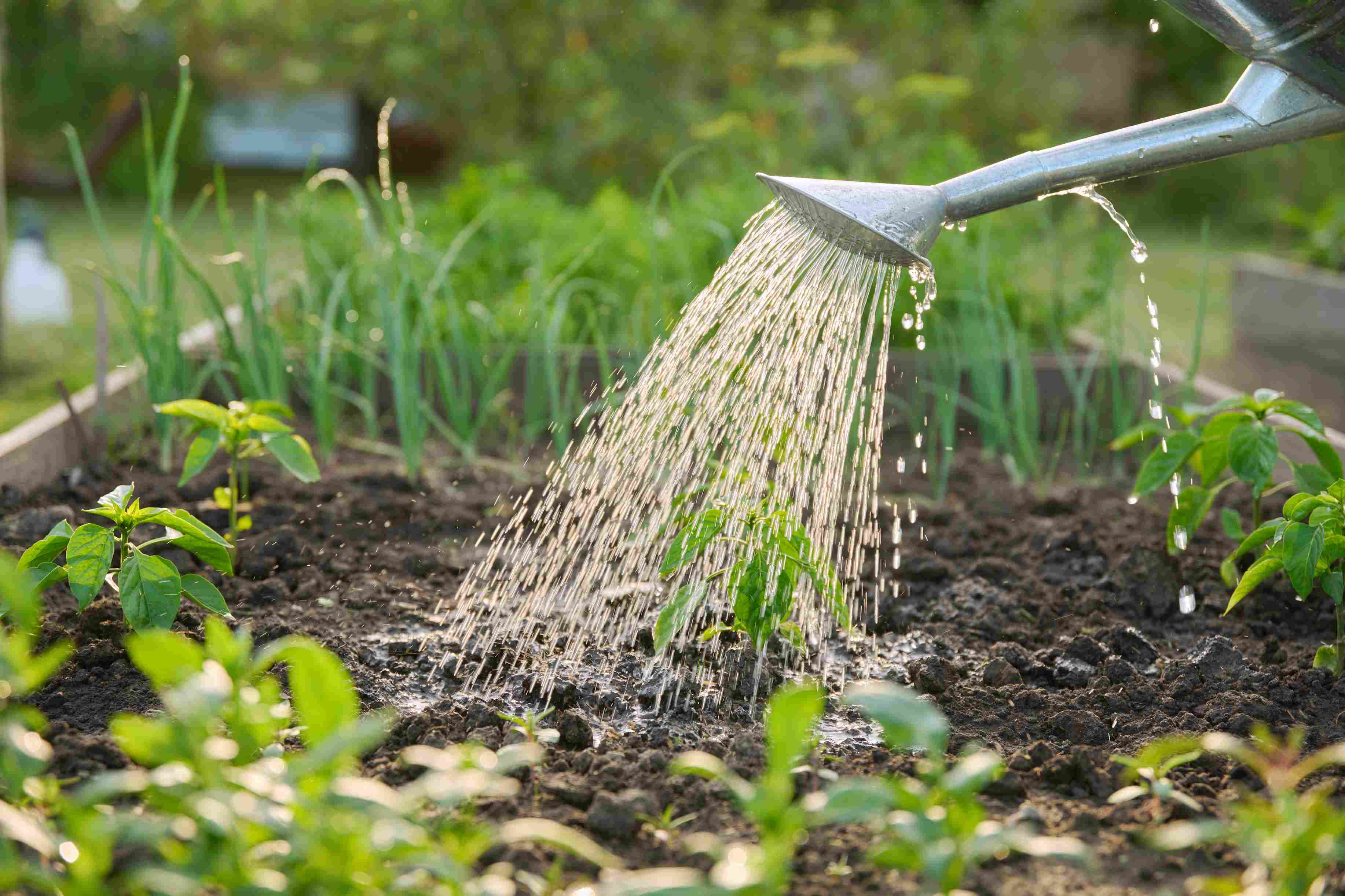 Sommarjobb för 13-åringar – Lön, regler och vanliga jobb